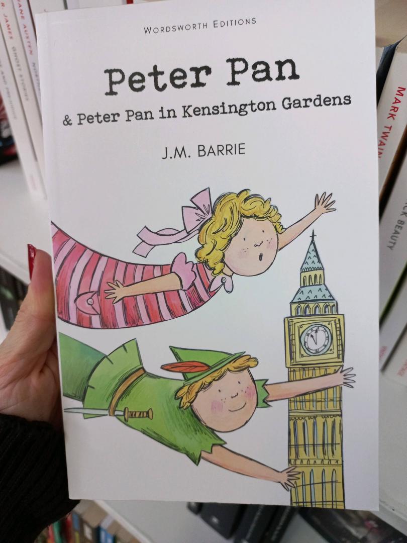 Иллюстрация 47 из 47 для Peter Pan - James Barrie | Лабиринт - книги. Источник: Цепушелова Валерия