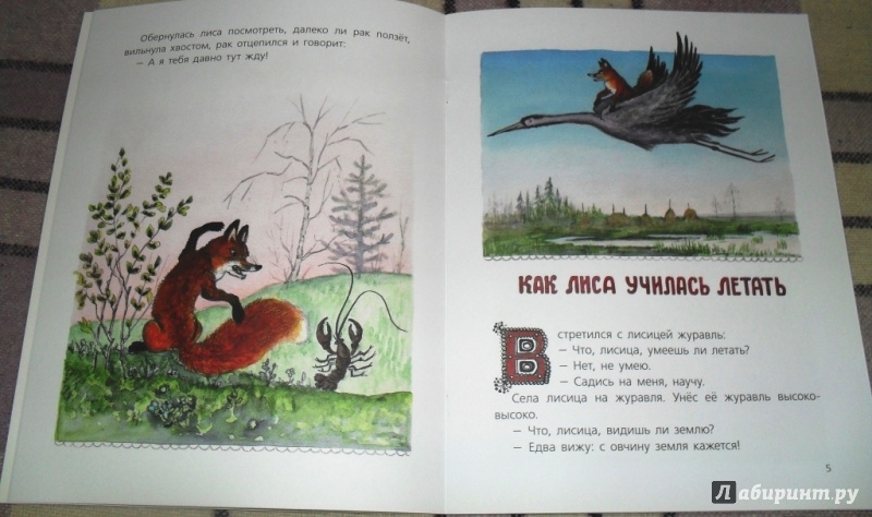 Иллюстрация 27 из 34 для Сказки про лису | Лабиринт - книги. Источник: Бог в помощь