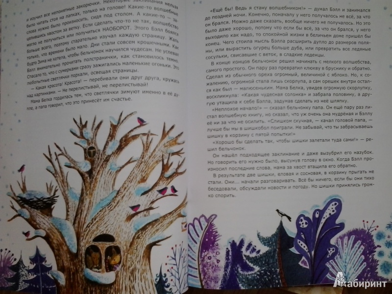 Иллюстрация 28 из 48 для Бельчонок, его друзья и волшебная книга - Ольга Фадеева | Лабиринт - книги. Источник: Dogdik
