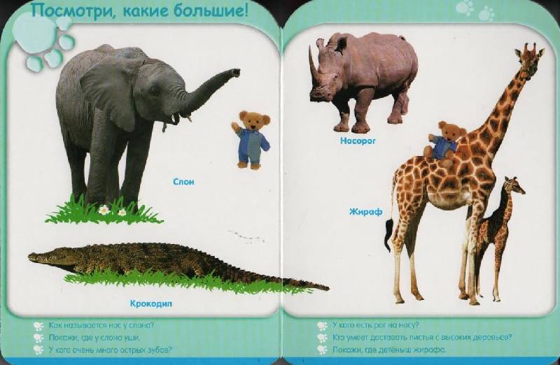 Иллюстрация 6 из 24 для Мир животных (24-36 мес.) | Лабиринт - книги. Источник: Zhanna