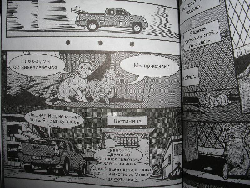Иллюстрация 40 из 44 для Крутобок & Бич. Комплект комиксов из 4-х книг - Эрин Хантер | Лабиринт - книги. Источник: Tiger.