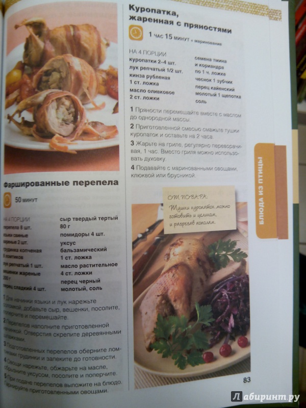 Иллюстрация 16 из 21 для Горячие блюда. 155 рецептов наших бабушек | Лабиринт - книги. Источник: zabluTshaya