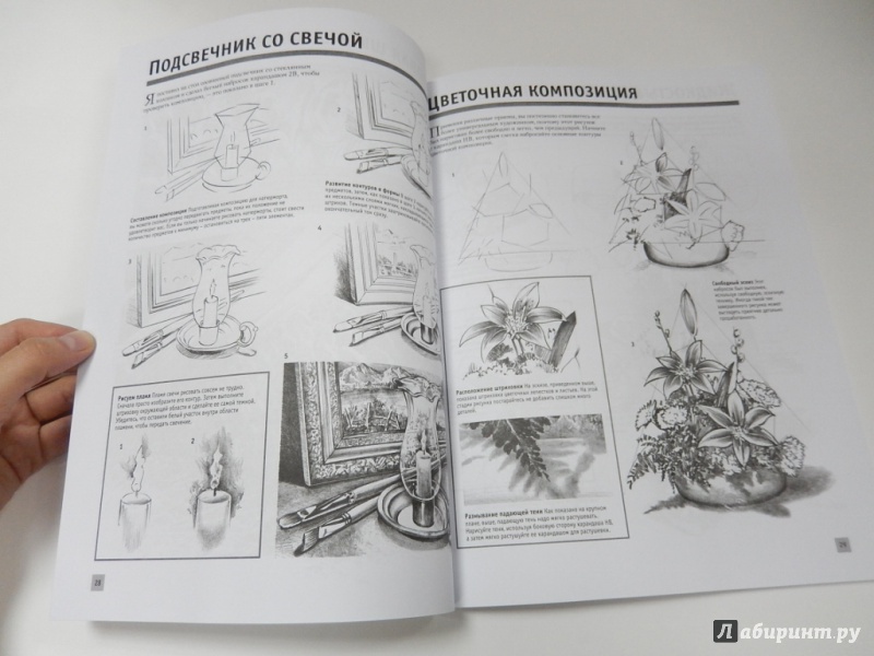 Иллюстрация 8 из 41 для Рисуем карандашом портреты, натюрморты, пейзажи - Speakman, Goldman, Cardaci | Лабиринт - книги. Источник: dbyyb
