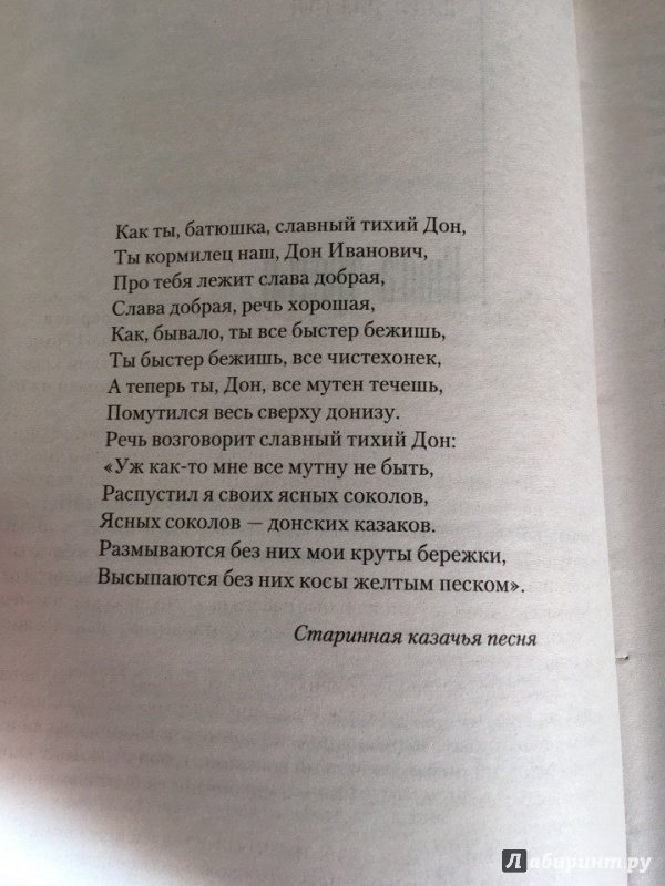 Иллюстрация 19 из 26 для Тихий Дон. В 2-х томах. Том 2 - Михаил Шолохов | Лабиринт - книги. Источник: Кустов  Артур