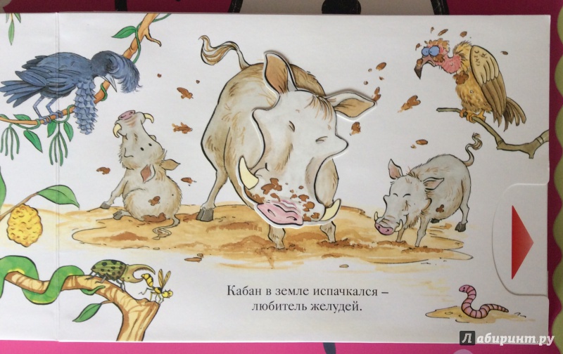 Иллюстрация 49 из 70 для Зоопарк - Флит Ван | Лабиринт - книги. Источник: Ачкасова  Екатерина Владимировна
