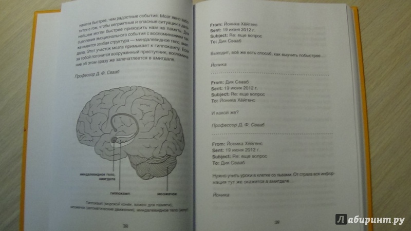 Иллюстрация 3 из 6 для Ты - это твой мозг. Всё, что ты захочешь узнать о своем мозге - Свааб, Схюттен | Лабиринт - книги. Источник: Консультант по наукам