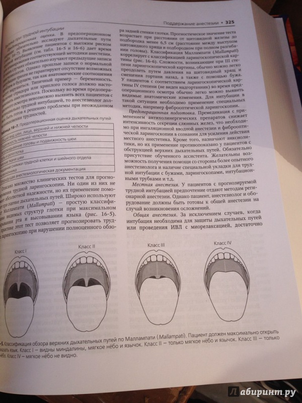 Иллюстрация 6 из 7 для Анестезиология | Лабиринт - книги. Источник: Лабиринт