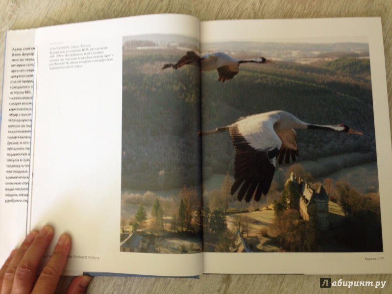 Иллюстрация 30 из 45 для Мир с высоты птичьего полета - Джон Доунер | Лабиринт - книги. Источник: Elesy