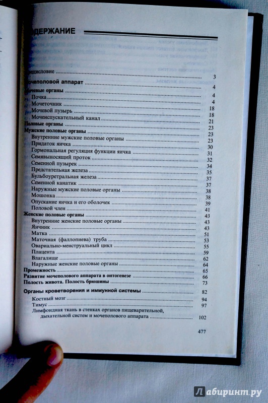 Иллюстрация 2 из 20 для Анатомия человека: Учебник: Книга 2 - Сапин, Билич | Лабиринт - книги. Источник: sakedas