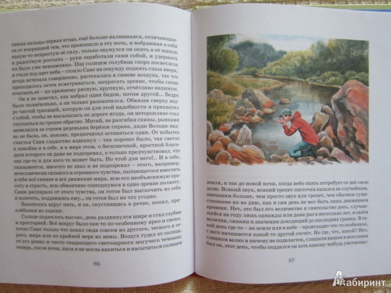 Иллюстрация 42 из 59 для Уроки французского - Валентин Распутин | Лабиринт - книги. Источник: ЮлияО