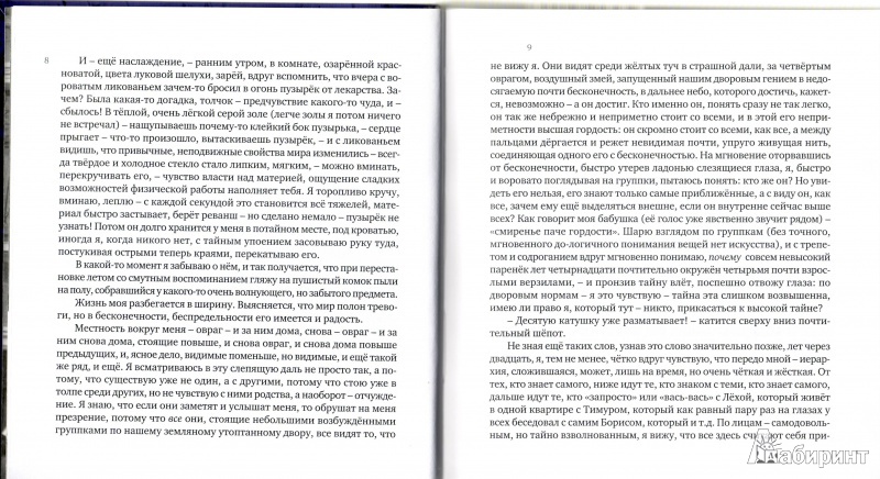 Иллюстрация 13 из 15 для Иногда промелькнет - Валерий Попов | Лабиринт - книги. Источник: Трубадур