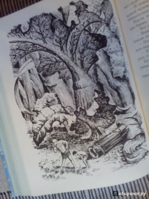 Иллюстрация 33 из 101 для Необыкновенные приключения Карика и Вали - Ян Ларри | Лабиринт - книги. Источник: Катерина М