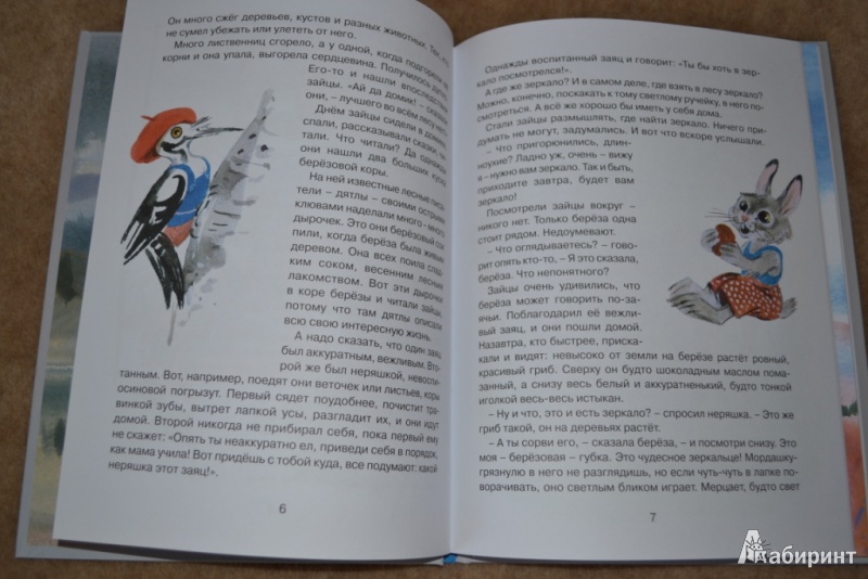 Иллюстрация 45 из 45 для Заячье зеркало - Семен Устинов | Лабиринт - книги. Источник: Киселев  Алексей