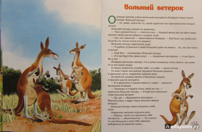 Иллюстрация 9 из 28 для Сказки об удивительных животных Австралии - Сергей Георгиев | Лабиринт - книги. Источник: Я_я
