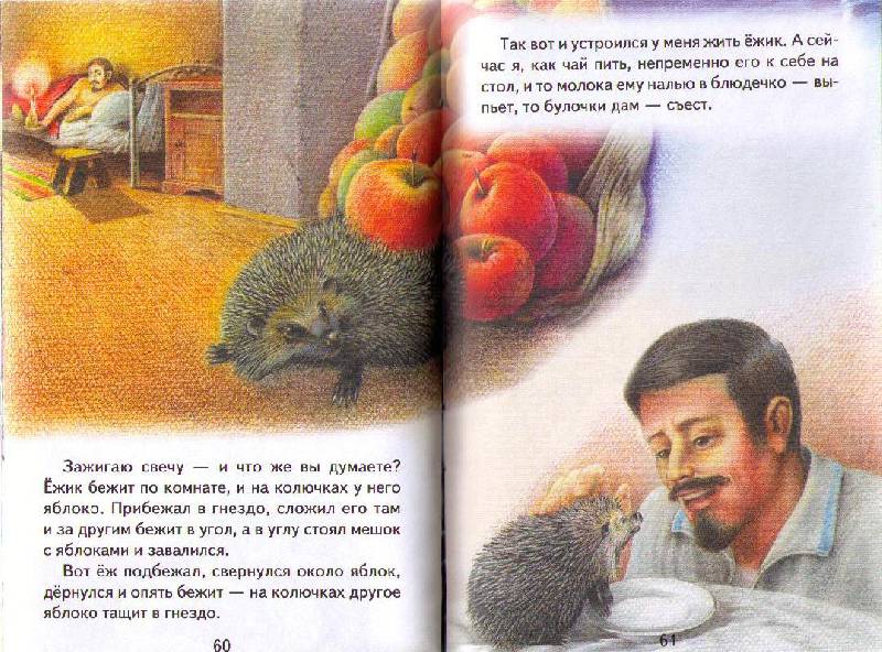 Иллюстрация 15 из 17 для Рассказы о животных - Михаил Пришвин | Лабиринт - книги. Источник: Ya_ha