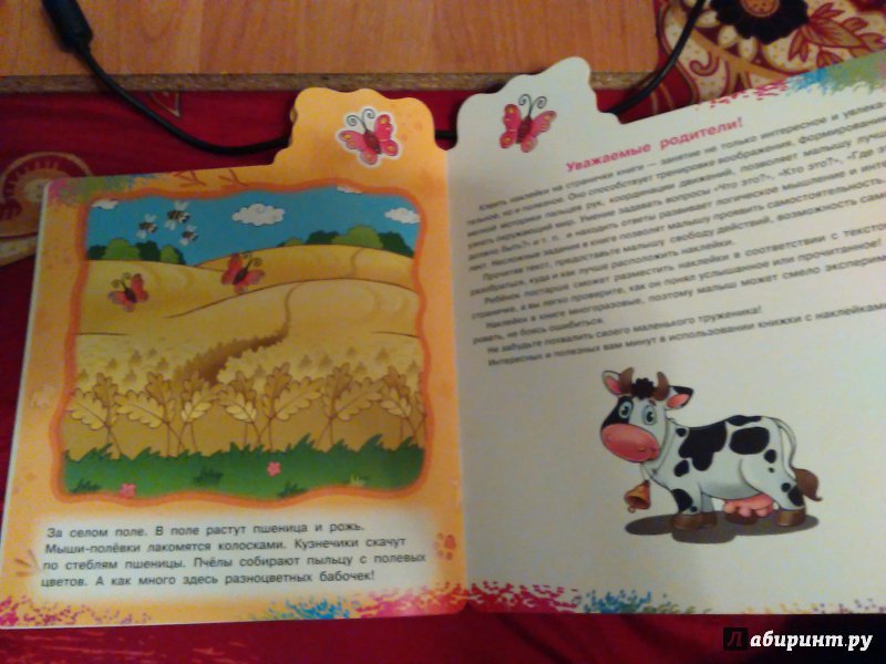 Иллюстрация 15 из 29 для Животные в деревне - группа Авторская | Лабиринт - книги. Источник: Ольга