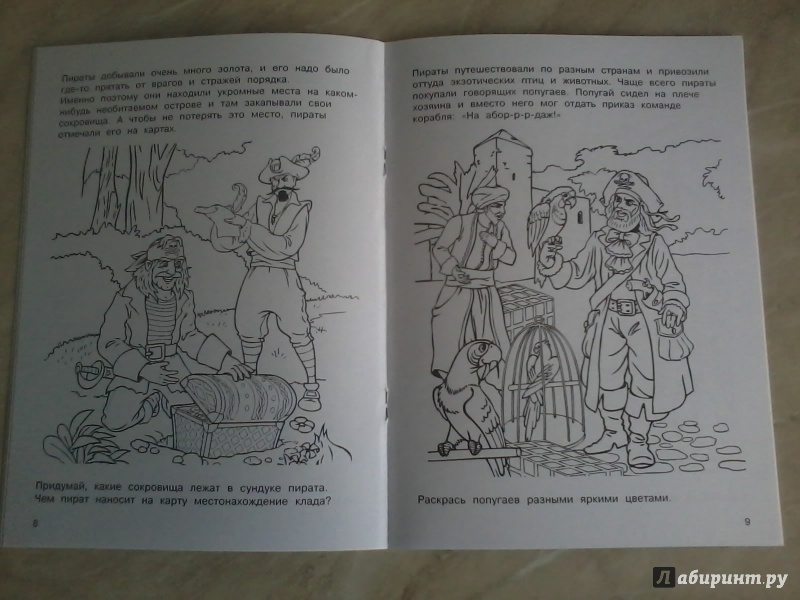 Иллюстрация 8 из 26 для Пираты | Лабиринт - книги. Источник: *  Читатель
