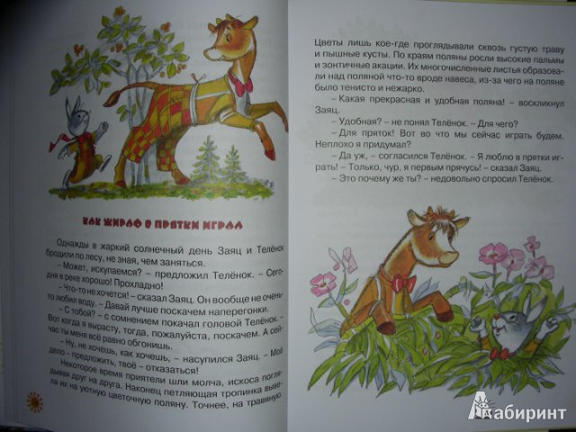 Иллюстрация 20 из 33 для Как жираф в прятки играл - Виктор Лунин | Лабиринт - книги. Источник: Анонимный Книгоголик