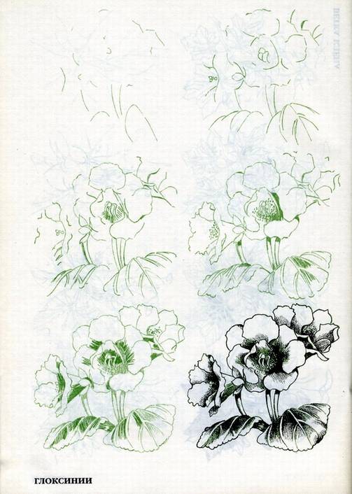 Иллюстрация 10 из 29 для Рисуем 50 цветов и деревьев - Эймис, Эймис | Лабиринт - книги. Источник: * Ольга *