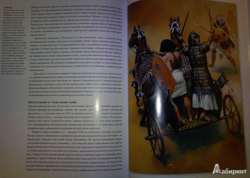 Иллюстрация 17 из 20 для Кадеш 1300 г. до н. э. Битва великих империй древности - Марк Хили | Лабиринт - книги. Источник: Natali*