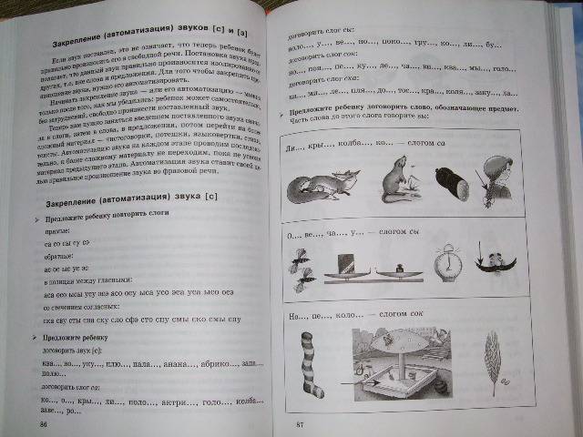 Иллюстрация 1 из 2 для Популярная логопедия: Практическое руководство для занятий с детьми 5-6 лет - Анна Герасимова | Лабиринт - книги. Источник: *  Надежда