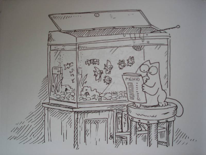 Иллюстрация 15 из 46 для Кот Саймона - Саймон Тофилд | Лабиринт - книги. Источник: Nett