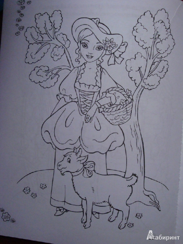 Иллюстрация 13 из 14 для Принцессы-умницы | Лабиринт - книги. Источник: Иринич  Лариса Павловна