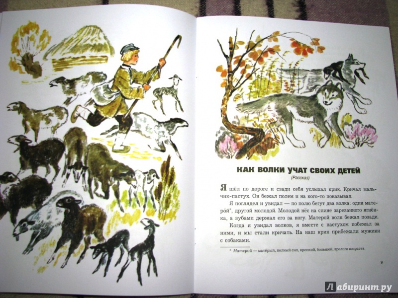 Иллюстрация 34 из 48 для О животных и птицах - Лев Толстой | Лабиринт - книги. Источник: Бог в помощь