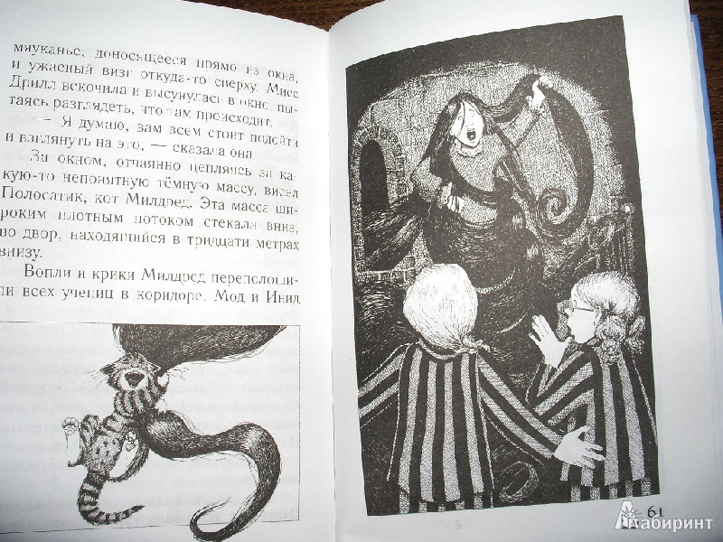 Иллюстрация 14 из 26 для Самая плохая ведьма. Книга 5. Спешит на помощь - Джилл Мерфи | Лабиринт - книги. Источник: Tiger.