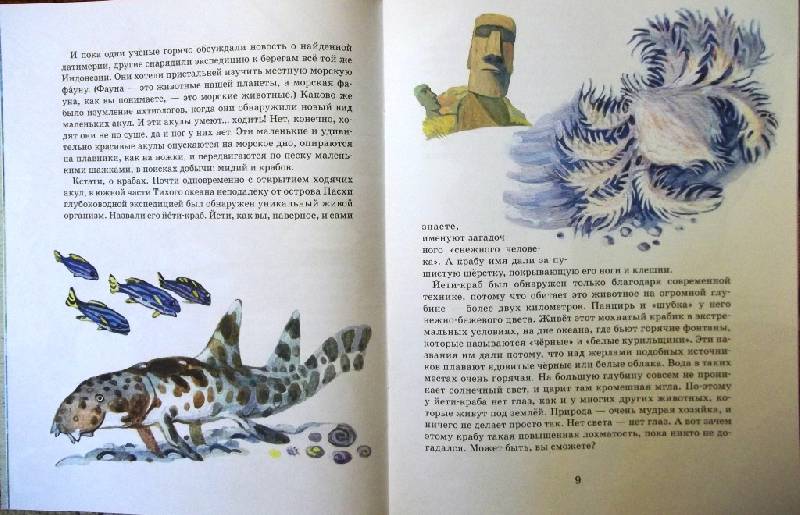 Иллюстрация 6 из 25 для Невиданные зверушки - Ольга Велейко | Лабиринт - книги. Источник: Ирина Викторовна