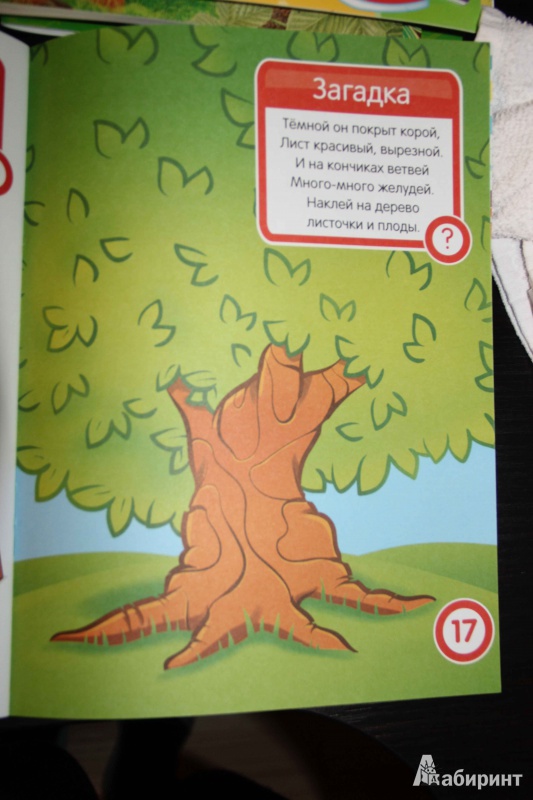 Иллюстрация 14 из 19 для Развитие речи для 4-х лет. Развивающая книга с наклейками для детей с 4-х лет - С. Разин | Лабиринт - книги. Источник: Vilvarin  Laurea