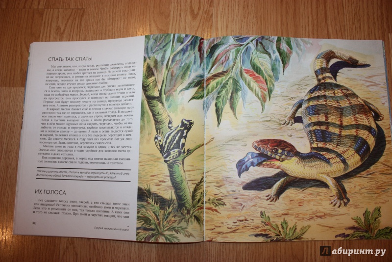 Иллюстрация 43 из 44 для Рептилии - Николай Сладков | Лабиринт - книги. Источник: Bradbury