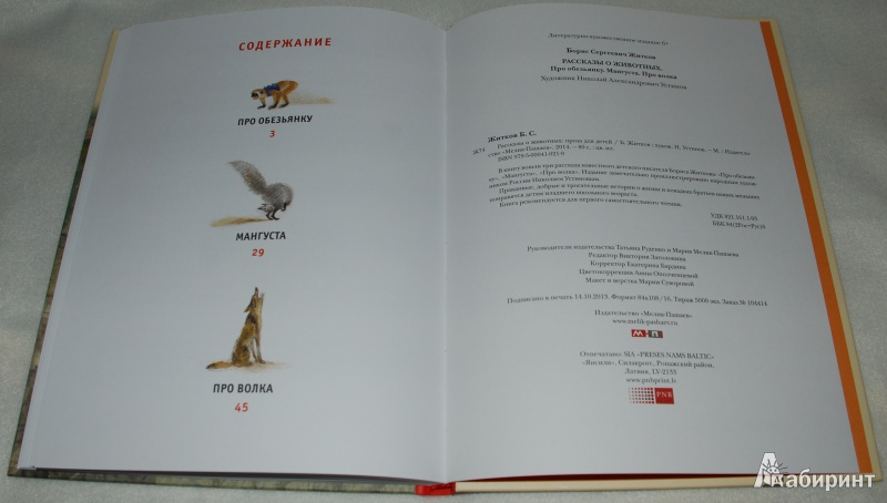 Иллюстрация 17 из 17 для Рассказы о животных - Борис Житков | Лабиринт - книги. Источник: Книжный кот
