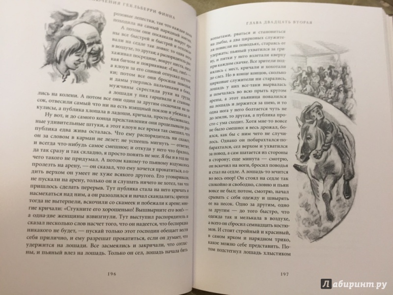 Иллюстрация 15 из 33 для Приключения Гекльберри Финна - Марк Твен | Лабиринт - книги. Источник: pavko