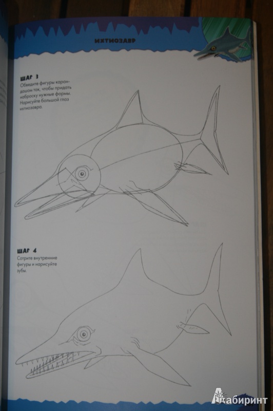 Иллюстрация 8 из 25 для Рисуем динозавров - Стив Бомонт | Лабиринт - книги. Источник: Кабанова  Ксения Викторовна