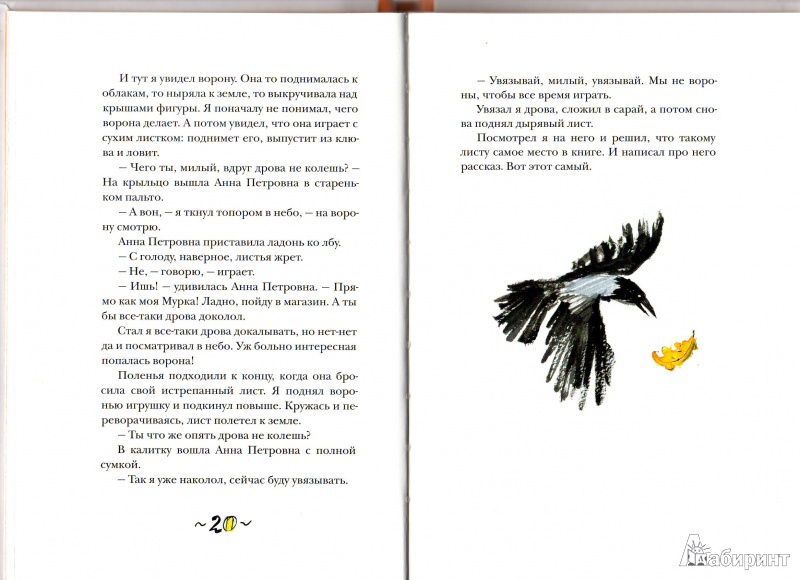 Иллюстрация 5 из 29 для Рябиновое солнце - Станислав Востоков | Лабиринт - книги. Источник: Трубадур