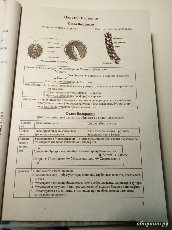 Иллюстрация 21 из 26 для Биология в таблицах и схемах | Лабиринт - книги. Источник: Unknown F. Sh.