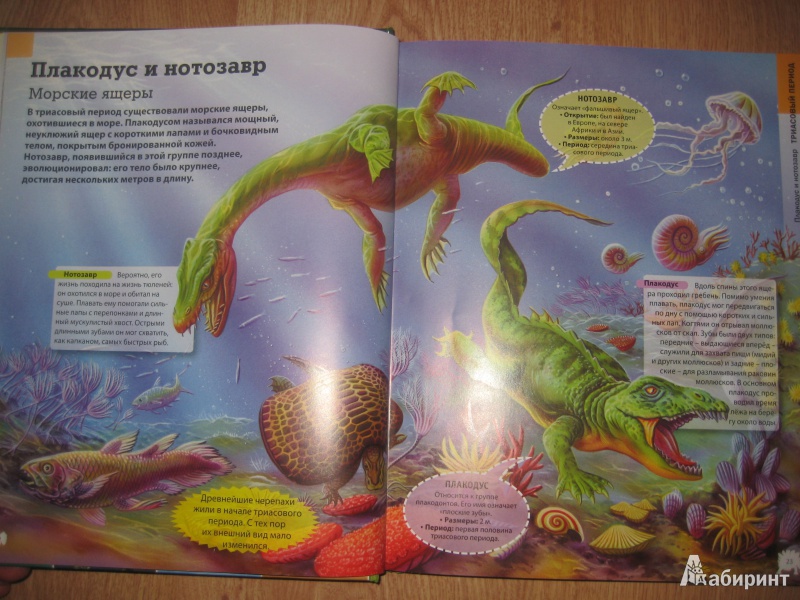 Иллюстрация 6 из 13 для Динозавры. Иллюстрированная энциклопедия - Франциско Арредондо | Лабиринт - книги. Источник: So_va