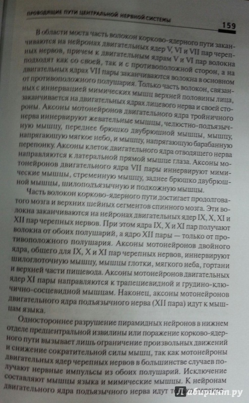 Иллюстрация 8 из 24 для Центральная нервная система и органы чувств. Учебное пособие - Калмин, Бочкарева, Кадмина | Лабиринт - книги. Источник: Den