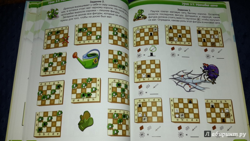 Иллюстрация 14 из 21 для Шахматы. Просто и весело - Должикова, Галинский | Лабиринт - книги. Источник: Маруся (@smelayatrysixa)