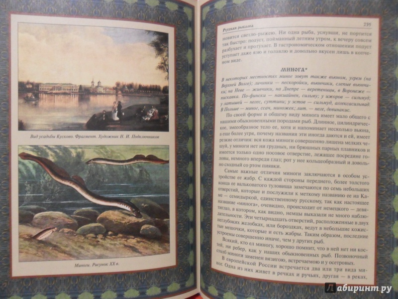 Иллюстрация 14 из 33 для Русская рыбалка | Лабиринт - книги. Источник: sleits