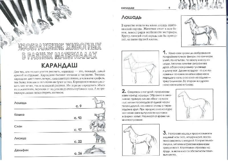 Иллюстрация 3 из 5 для Рисуем животных - Алла Марковская | Лабиринт - книги. Источник: GallaL