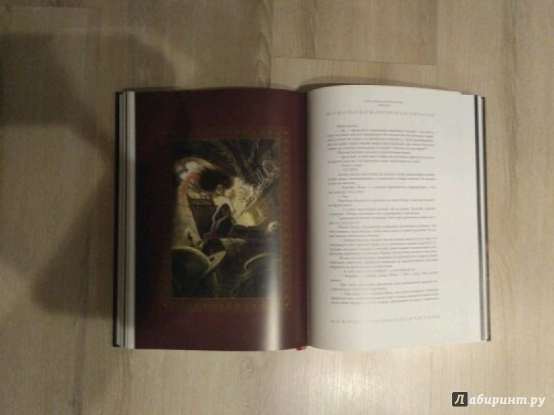 Иллюстрация 97 из 97 для Собор Парижской Богоматери - Виктор Гюго | Лабиринт - книги. Источник: Садикова  Елена
