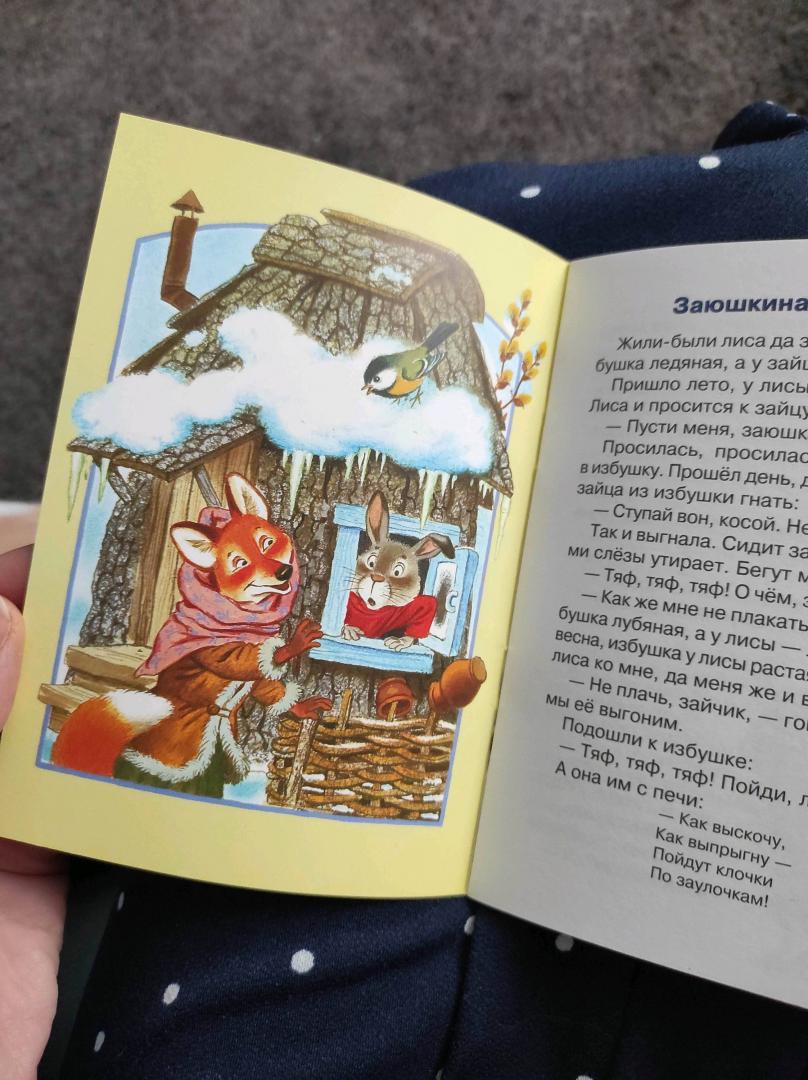 Иллюстрация 24 из 30 для Лисичка-сестричка | Лабиринт - книги. Источник: Гарипова  Талия Альбертовна