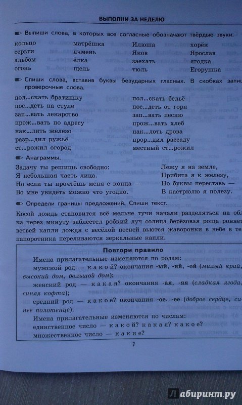 Иллюстрация 27 из 34 для Русский язык. 4 класс. Тренировочные примеры. Задания для повторения и закрепления. ФГОС - Марта Кузнецова | Лабиринт - книги. Источник: Юта