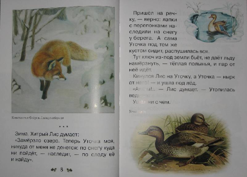 Иллюстрация 51 из 62 для Сказки и рассказы о животных - Виталий Бианки | Лабиринт - книги. Источник: Трухина Ирина