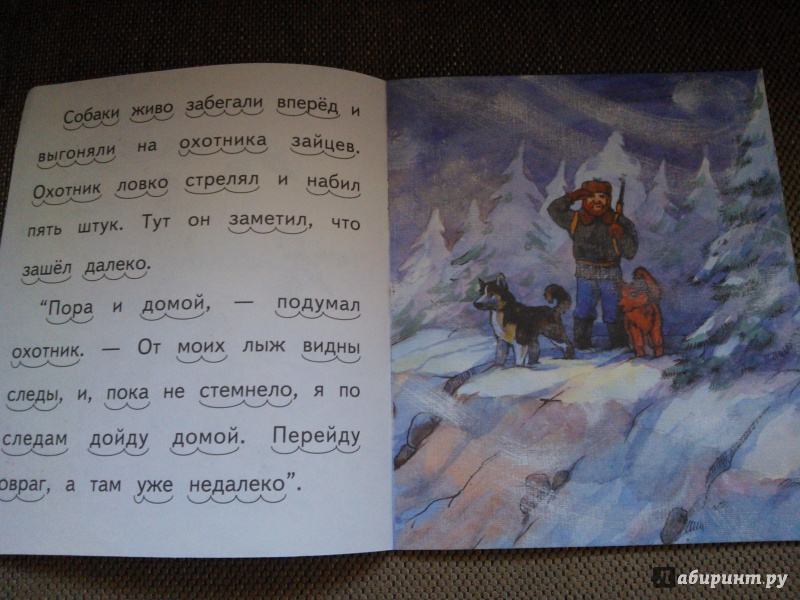 Иллюстрация 21 из 24 для Охотник и собаки - Борис Житков | Лабиринт - книги. Источник: Вероника Руднева