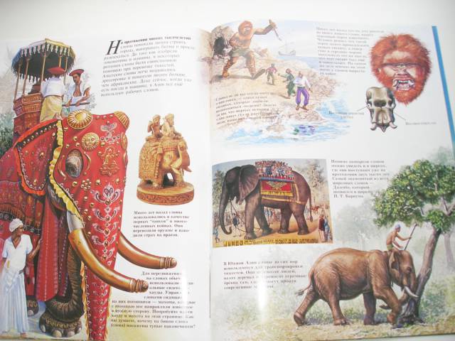 Иллюстрация 38 из 96 для Мир животных (17 книг в боксе) | Лабиринт - книги. Источник: Осьминожка