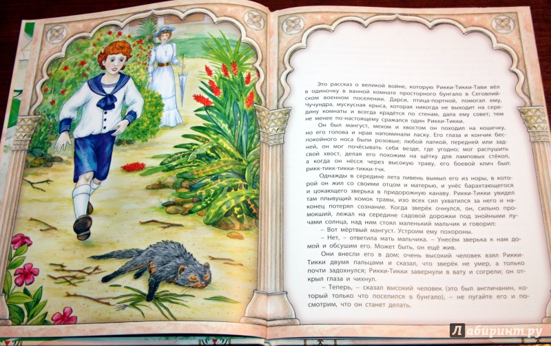 Иллюстрация 9 из 47 для Рикки-Тикки-Тави - Редьярд Киплинг | Лабиринт - книги. Источник: Евангелина77