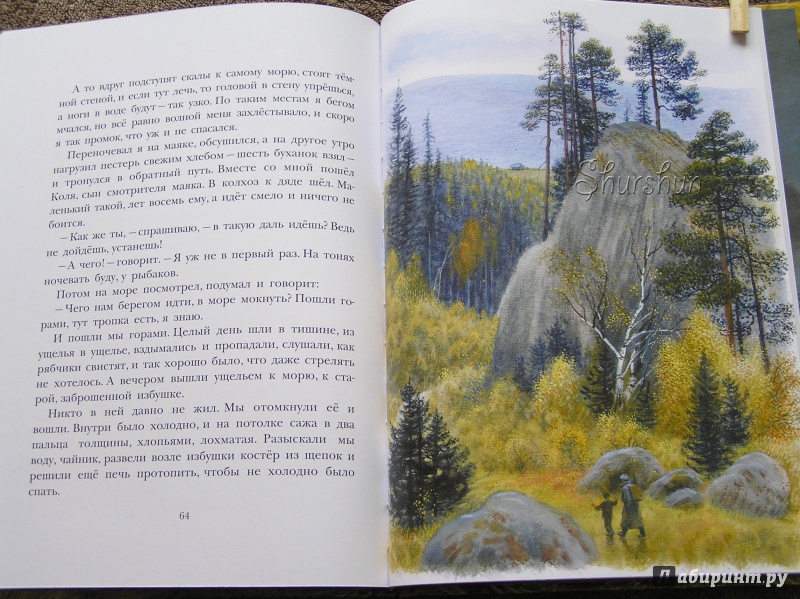 Иллюстрация 46 из 46 для Арктур - гончий пёс - Юрий Казаков | Лабиринт - книги. Источник: Shurshun